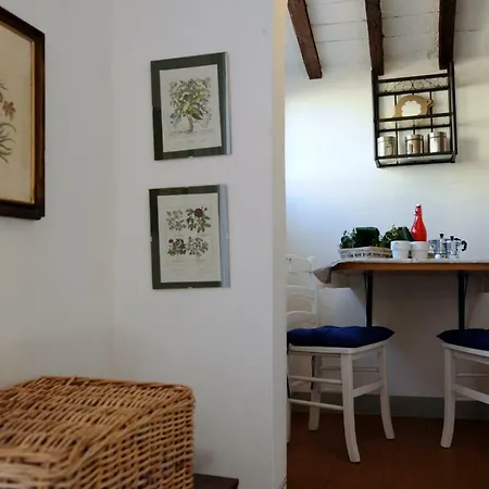 Ferienwohnung Acacia Firenze - Cosmea Exterior foto